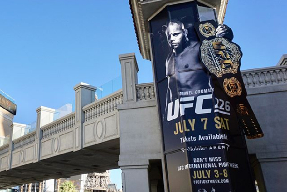 Кормье – Леснар и ещё 3 боя, которые нужно организовать после UFC 226 Кормье – Леснар и ещё 3 боя, которые нужно организовать после UFC 226